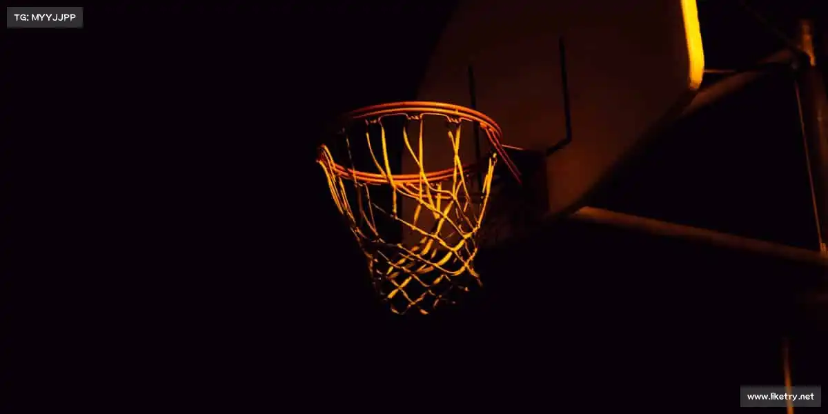 行业领先的理由